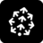 pinecone